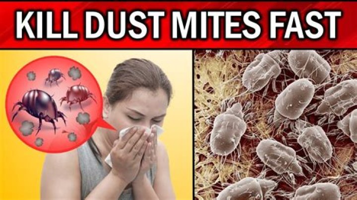 What can I use to repel dust?