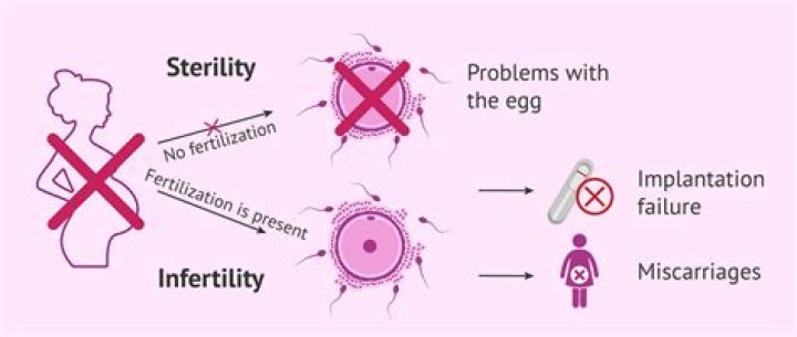 What causes female infertility?