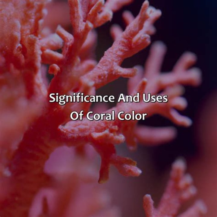 What color is healthy coral?