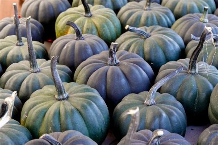 What do green pumpkins mean?