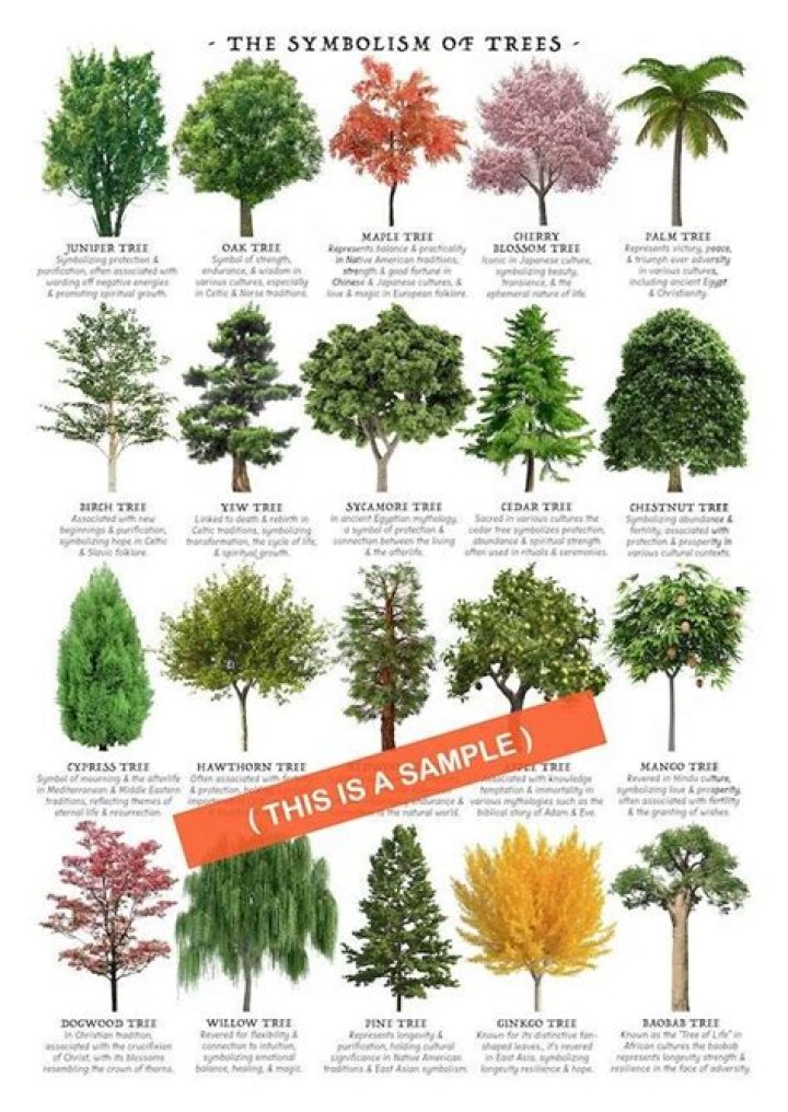 What do trees symbolize in African culture?