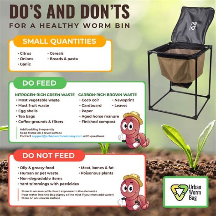 What does a healthy worm bin look like?