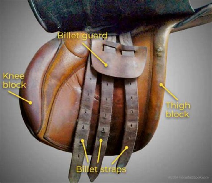 What does an Equus Saddle do?