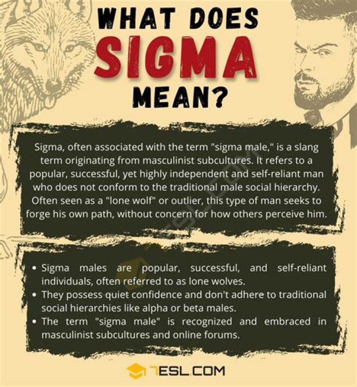 What does mean ??