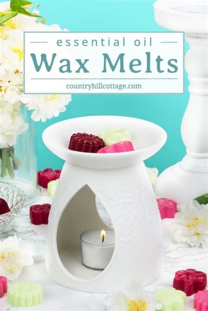 What else can I put in my wax warmer?