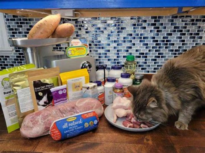 What food do cats find irresistible?