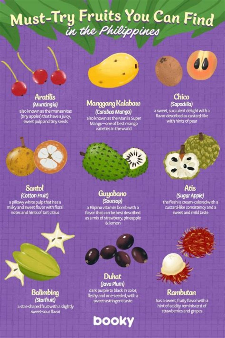 What fruit can I put out for butterflies?