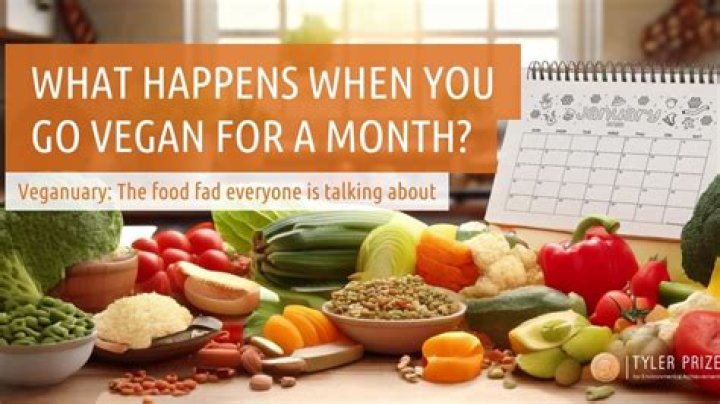 What happens if you go vegan for a month?