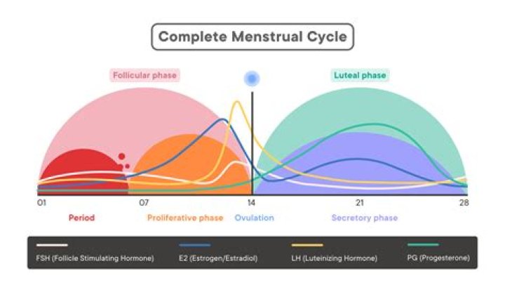 What happens to a woman's period in space?
