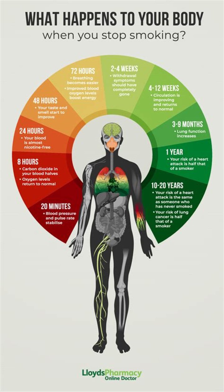 What happens to your body when you stop eating meat for a month?
