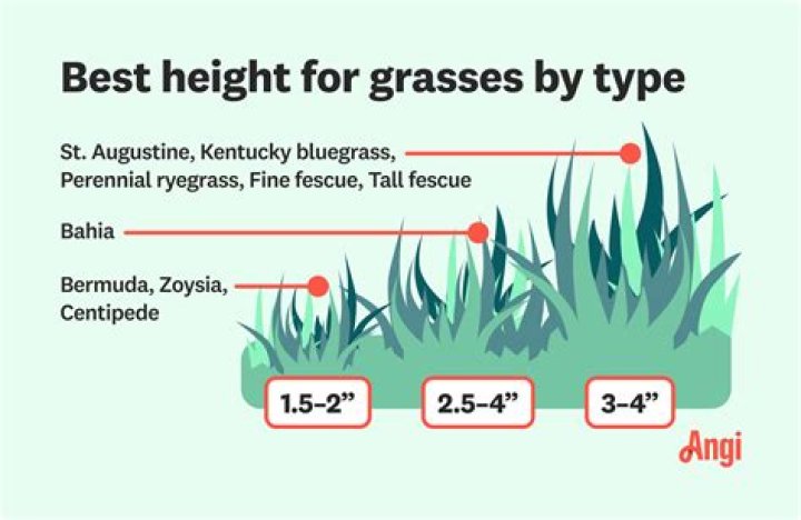 What height should grass be cut?