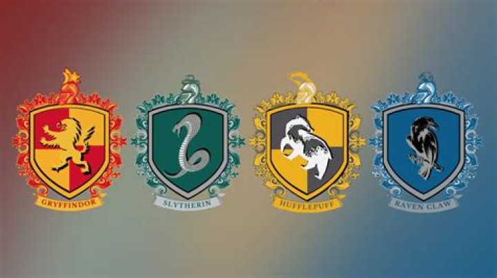 What Hogwarts House is Chris Evans in?