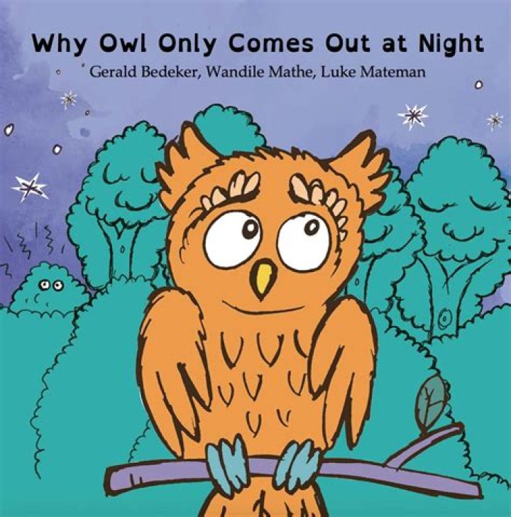 What if owl comes to home?