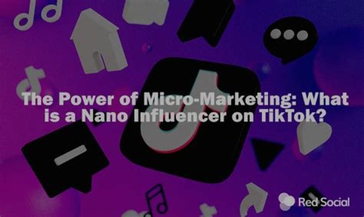 What is a nano influencer on TikTok?