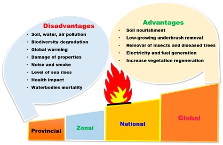 What is the disadvantage of clay?