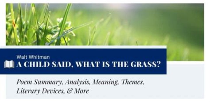 What is the grass said the child?