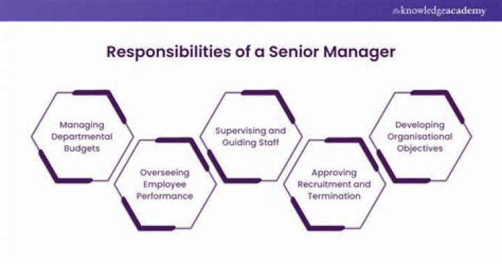 What is the role of senior analyst in EY?