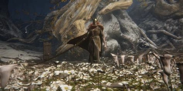 What level should I be to fight Malenia Elden Ring?