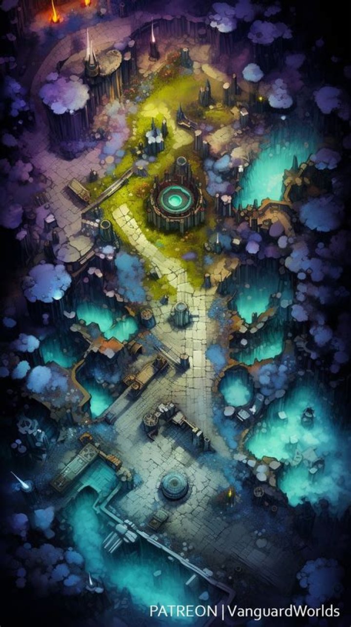 What maps did Vanguard bring back?