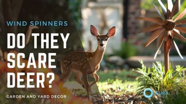 What noise will scare deer?