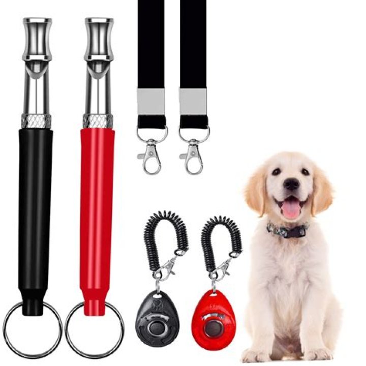 What other animals can hear a dog whistle?