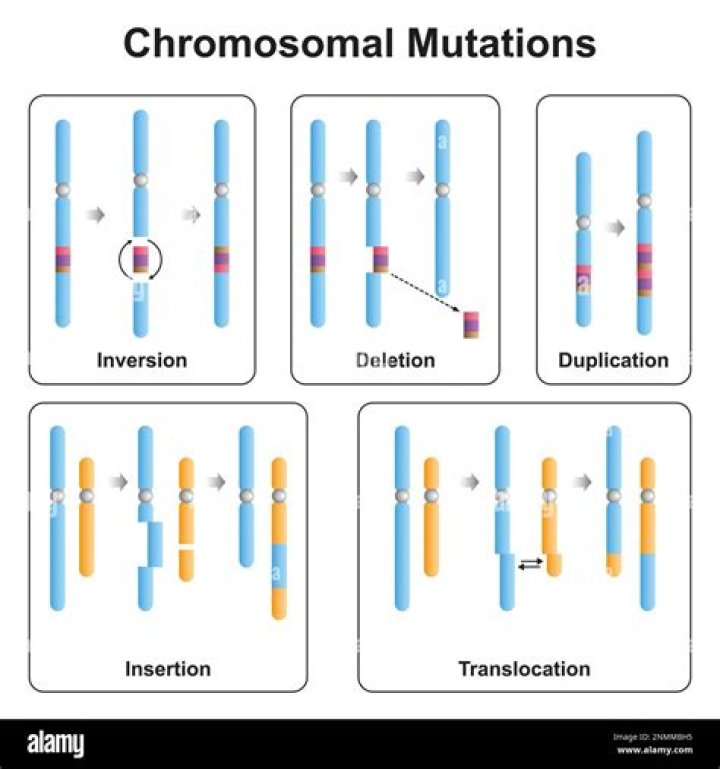What type of mutation is recombination?