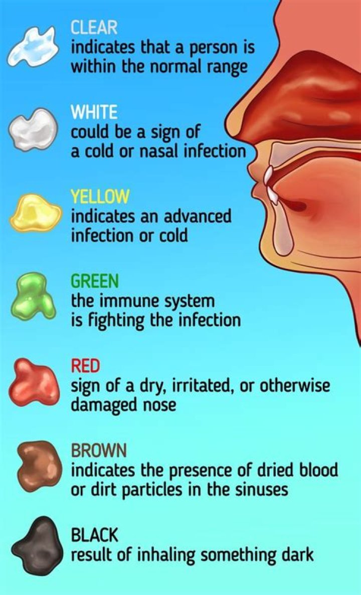Where does snot go when swallowed?