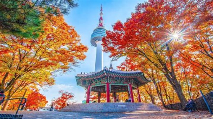 Which Indian company is famous in South Korea?