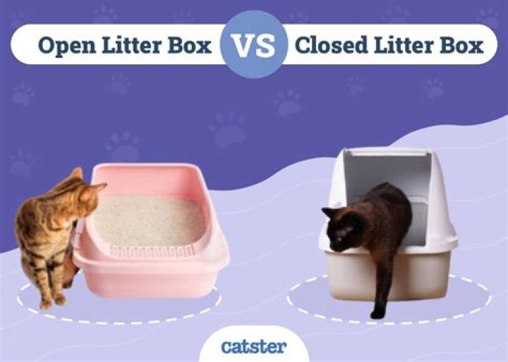Which is better open or closed litter box?