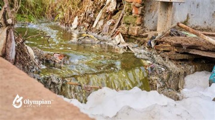 Which is better purified or spring water?
