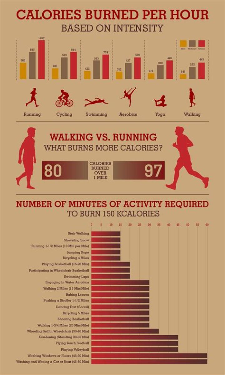 Who burns more calories fat or skinny?