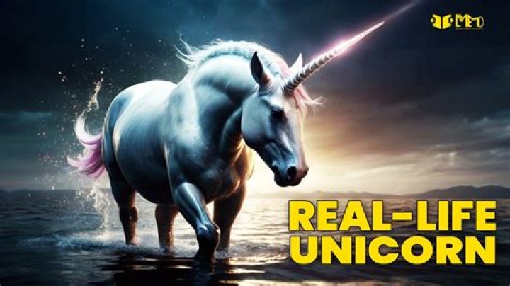 Who has seen a unicorn?