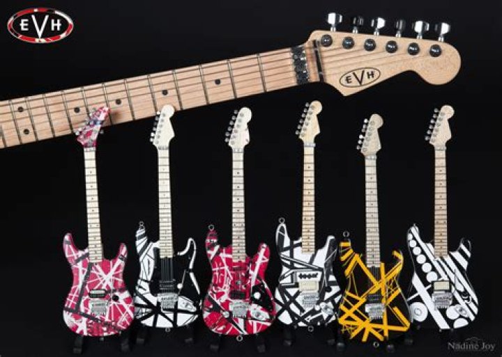 Who owns EVH guitars now?