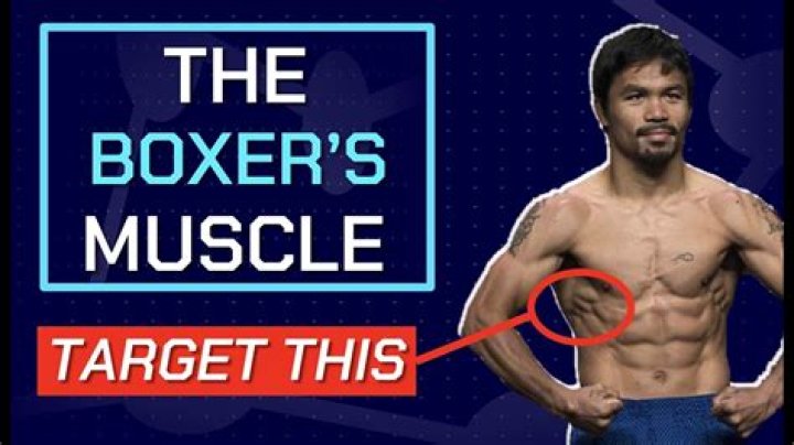Why are boxers shoulders so big?
