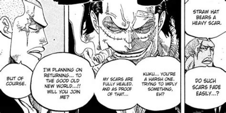 Why does Crocodile hate whitebeard?
