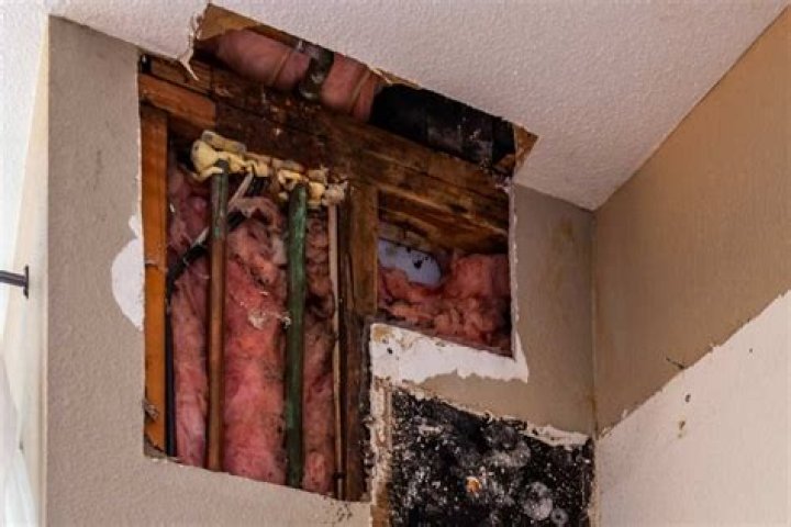 Why does insulation turn black?