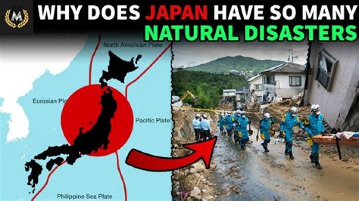 Why does Japan ban two blocks?