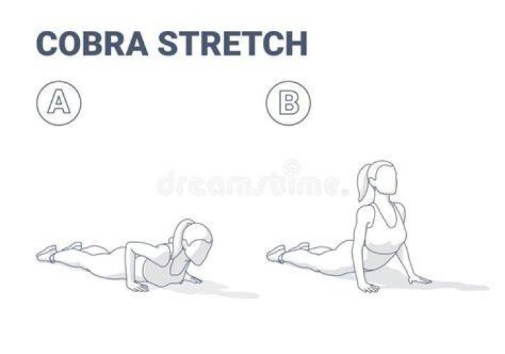 Why is Cobra a good stretch?