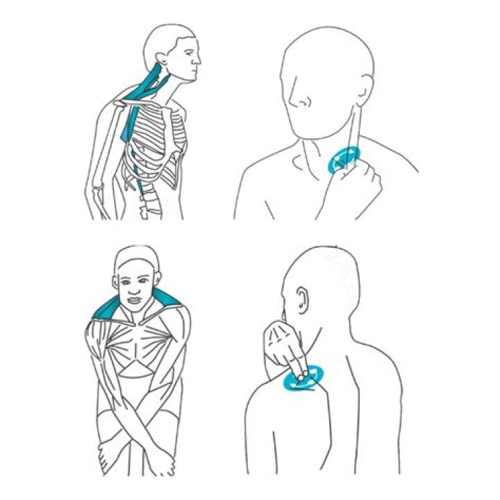 Why you should not massage the neck?