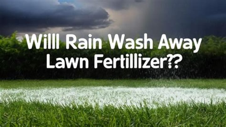 Will rain wash away parvo?
